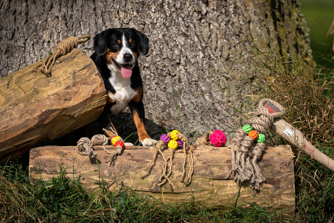 Spielzeug für Hunde