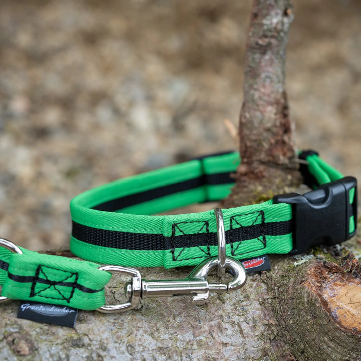 Halsband eingefasst direkt