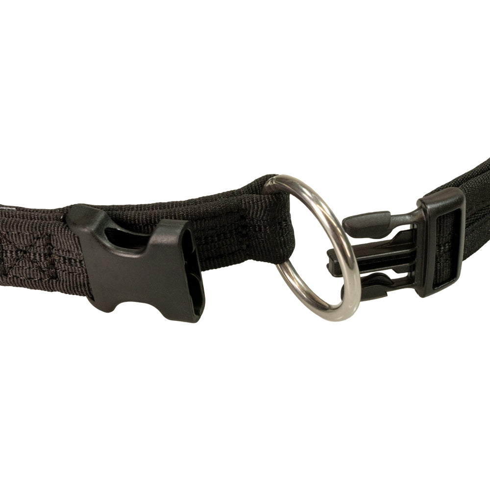 Halsband eingefasst indirekt