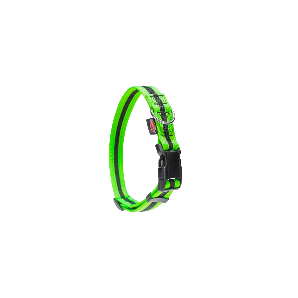 Halsband eingefasst direkt