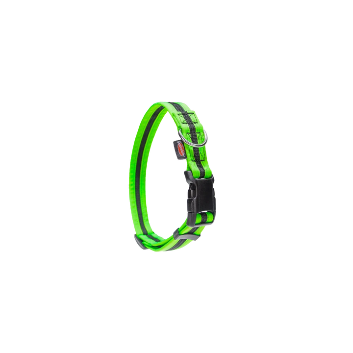 Halsband eingefasst direkt