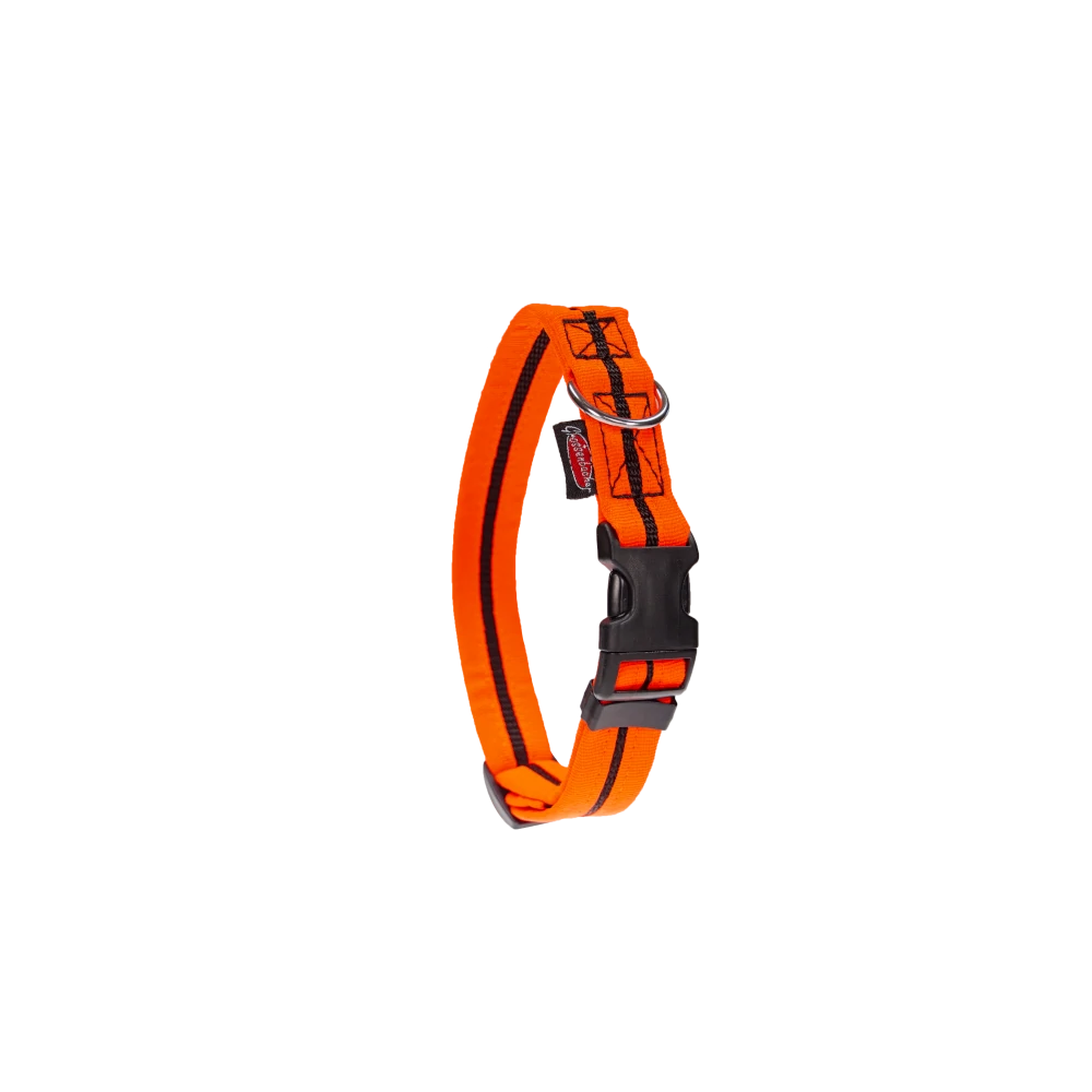 Halsband eingefasst direkt