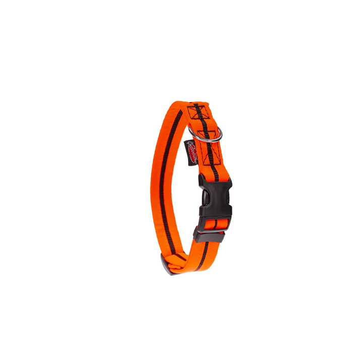 Halsband eingefasst direkt