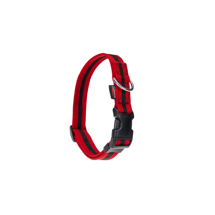 Halsband eingefasst direkt