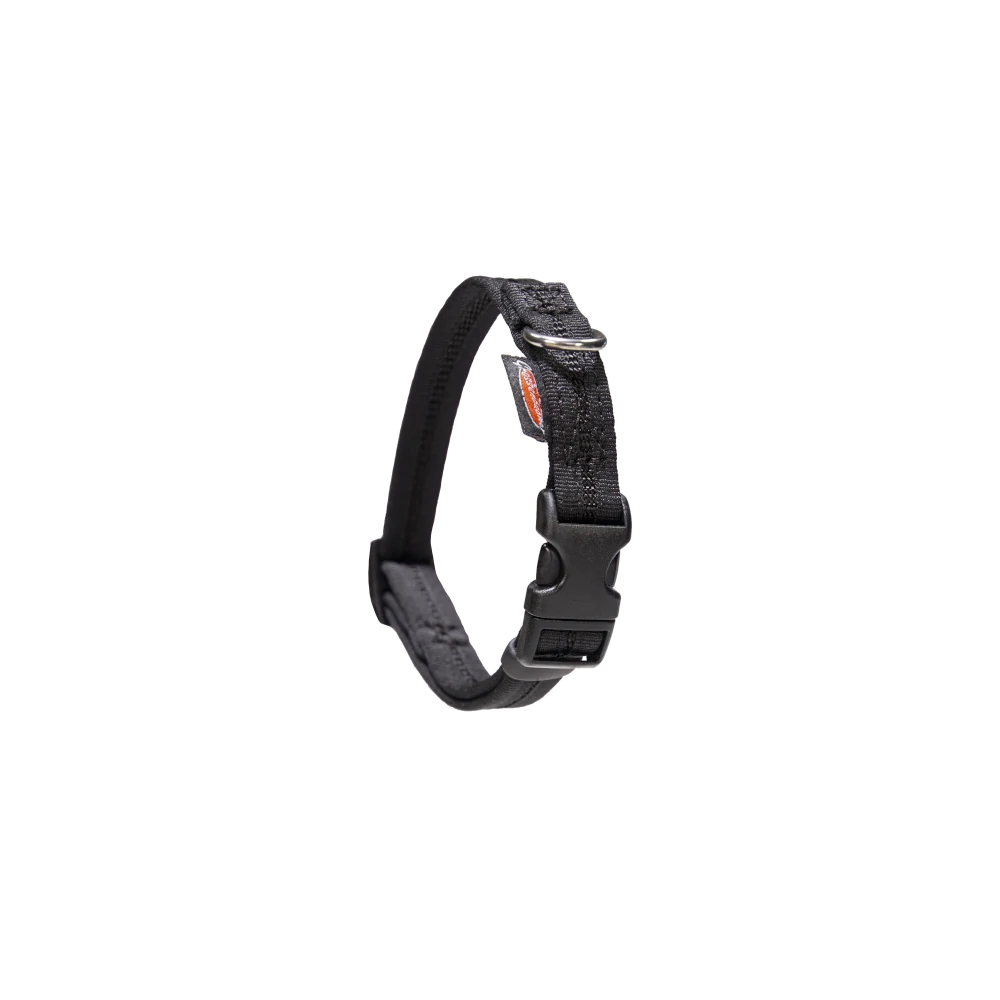 Halsband eingefasst direkt