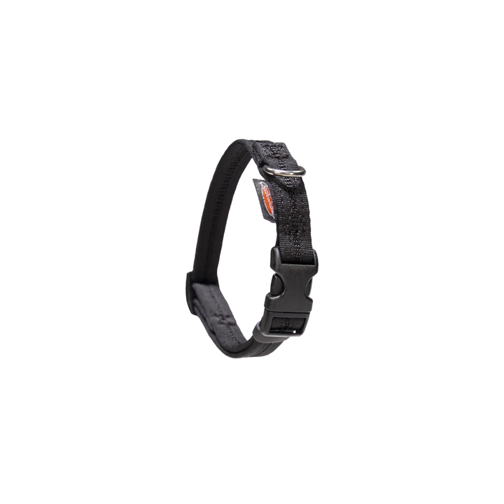 Halsband eingefasst direkt