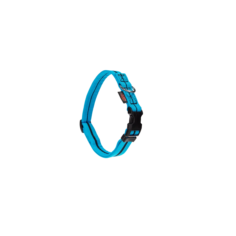 Halsband eingefasst direkt