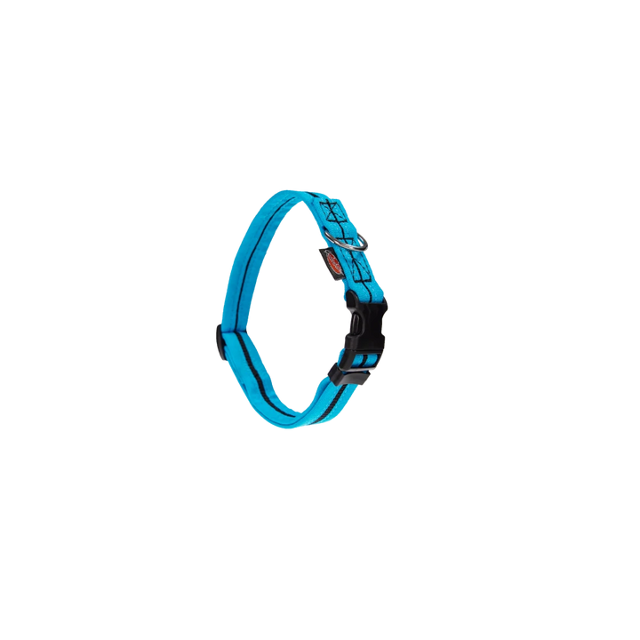 Halsband eingefasst direkt