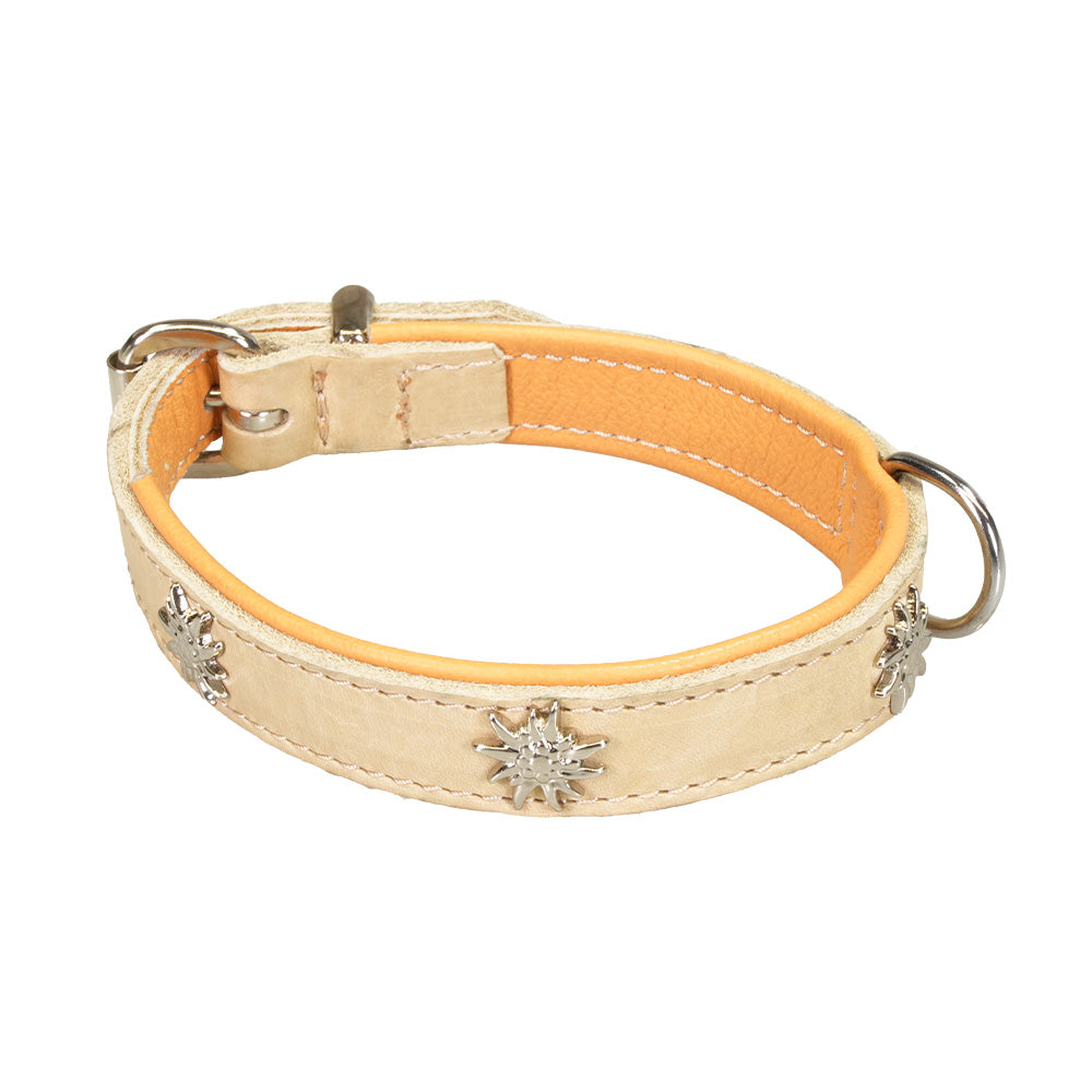 Hundehalsband Leder beige mit Nieten