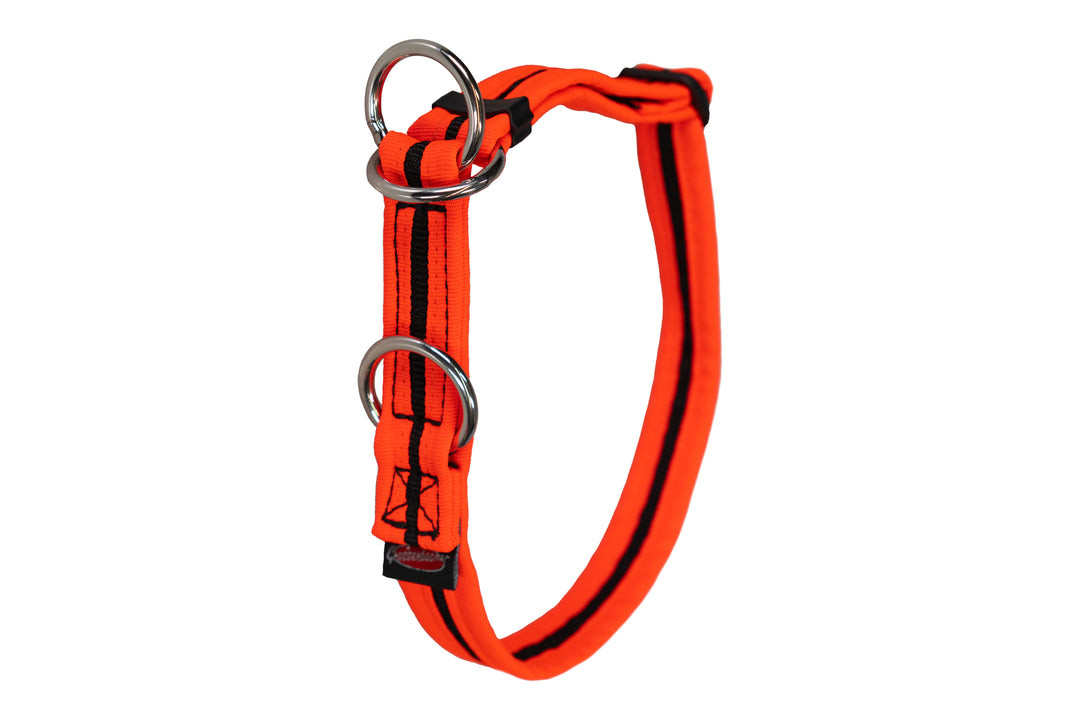 Halsband eingefasst Zugstopp