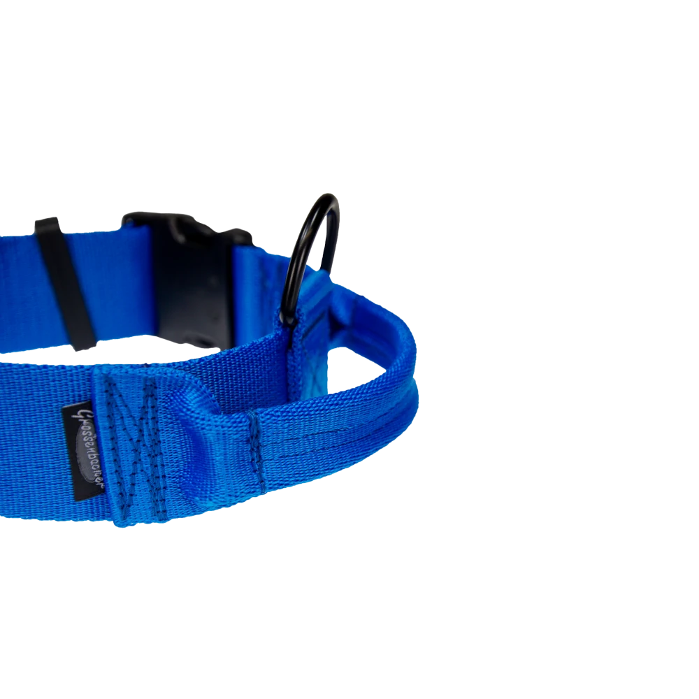 Hetz-Halsband mit Griff