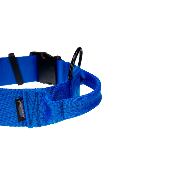 Hetz-Halsband mit Griff