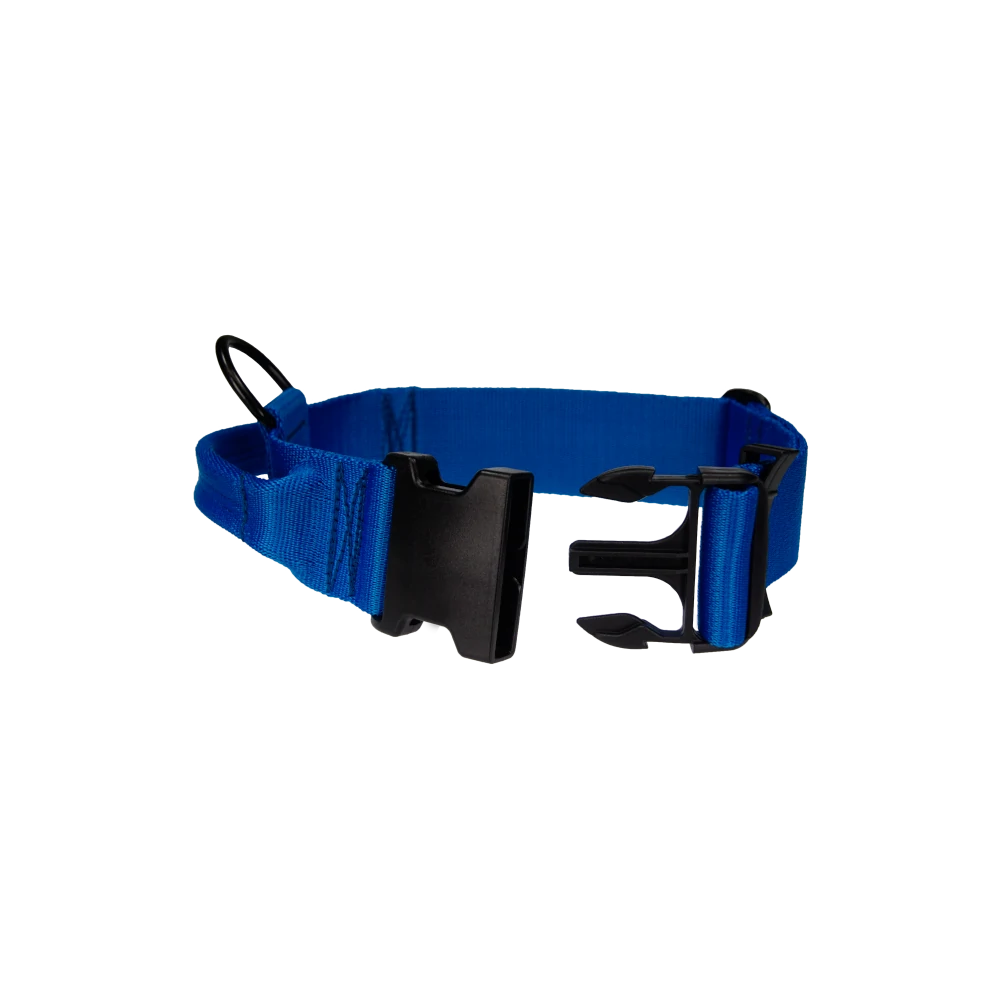 Hetz-Halsband mit Griff