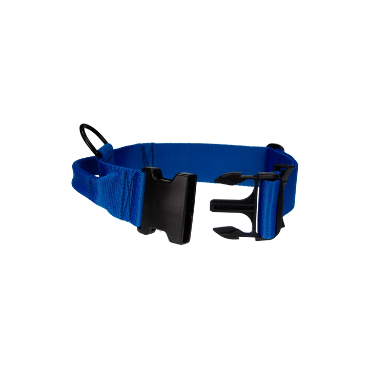 Hetz-Halsband mit Griff