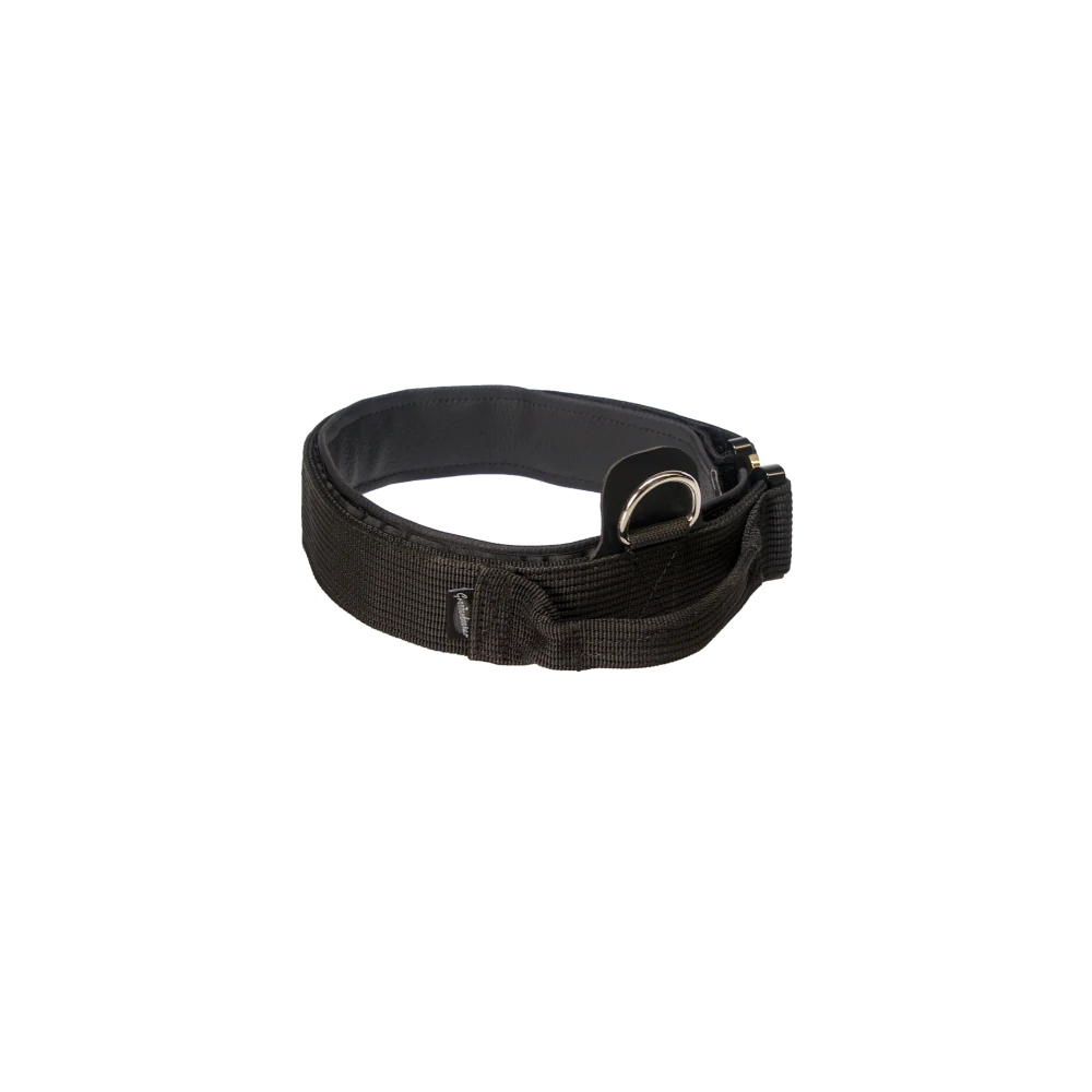 Hetzhalsband Profi