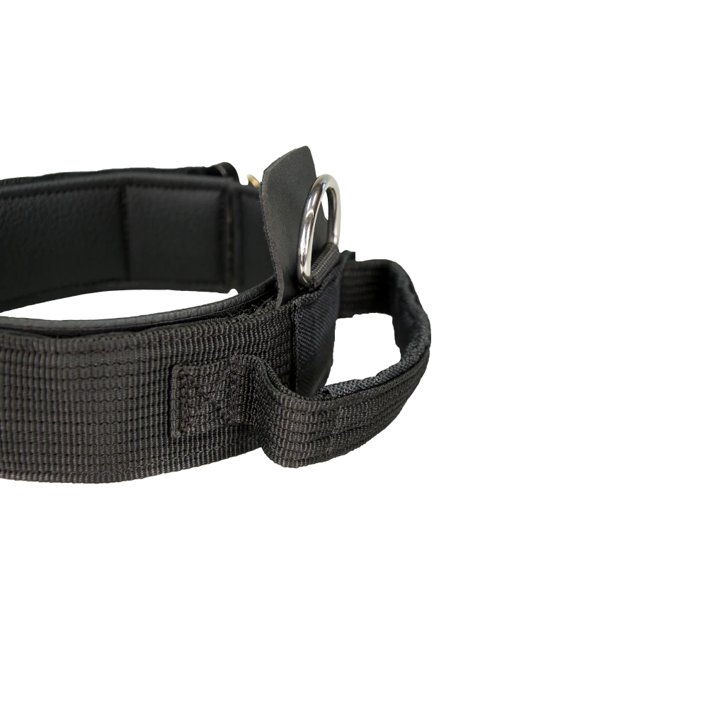 Hetzhalsband Profi