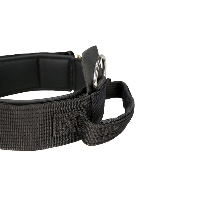 Hetzhalsband Profi