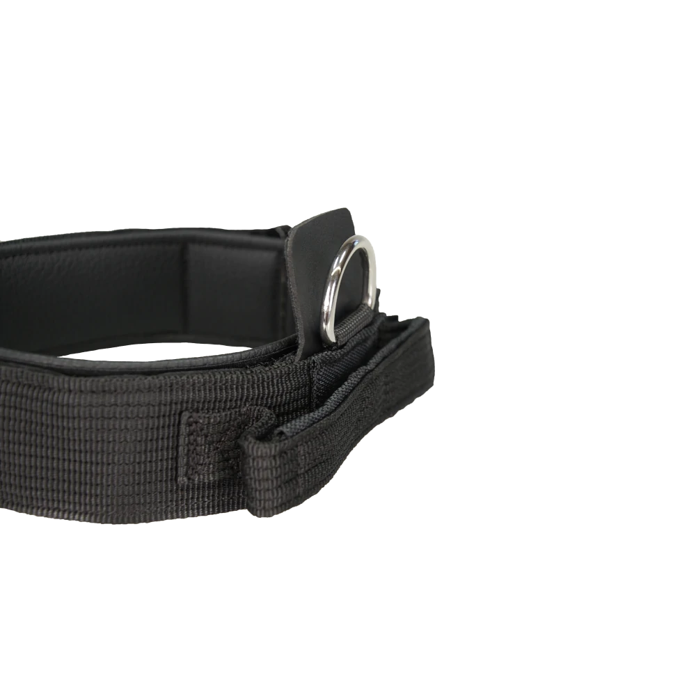 Hetzhalsband Profi