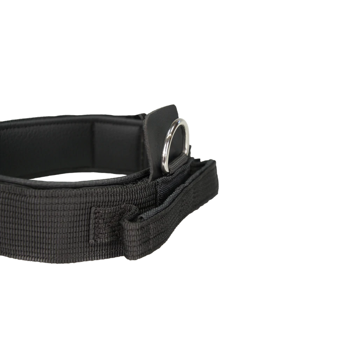 Hetzhalsband Profi