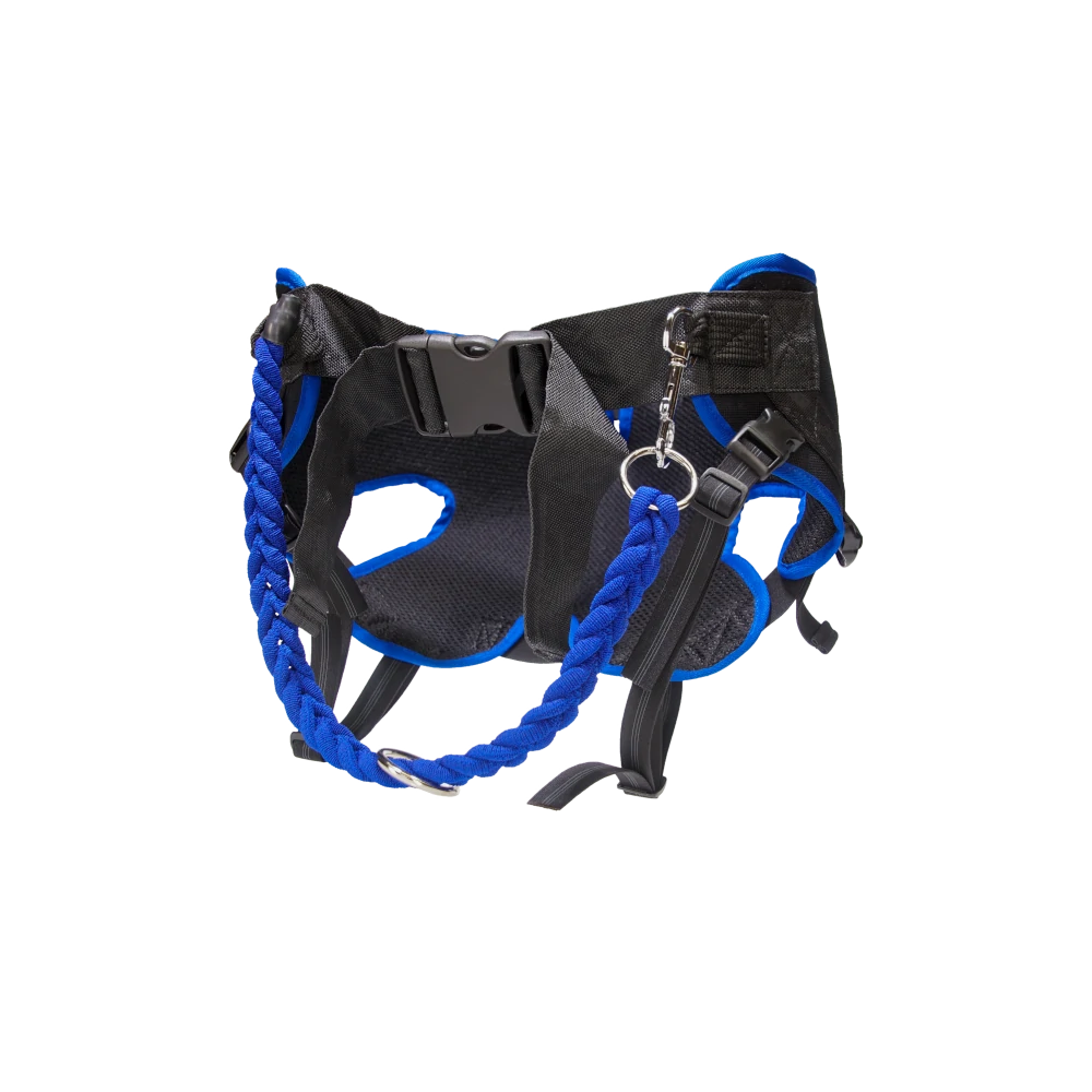 Jogginggurt Hose