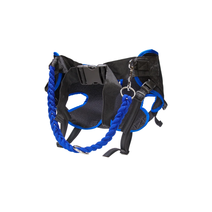 Jogginggurt Hose
