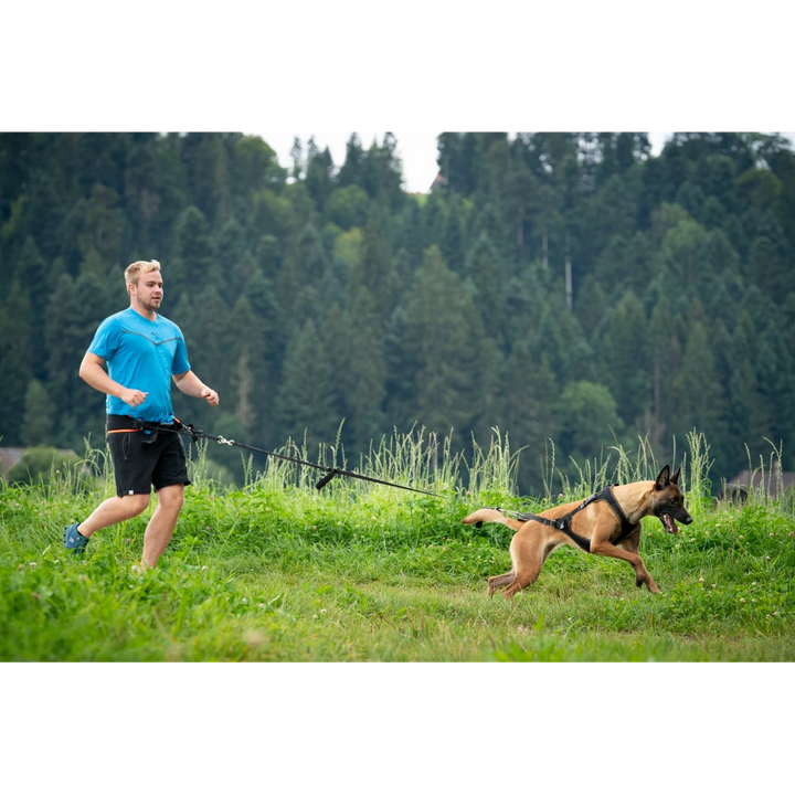 Jogginggurt Profirun