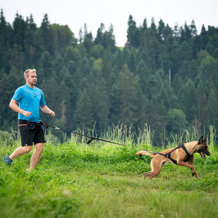 Jogging Leine Sport