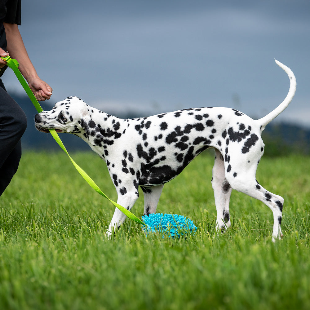 Spielzeug Mop Boudin Long