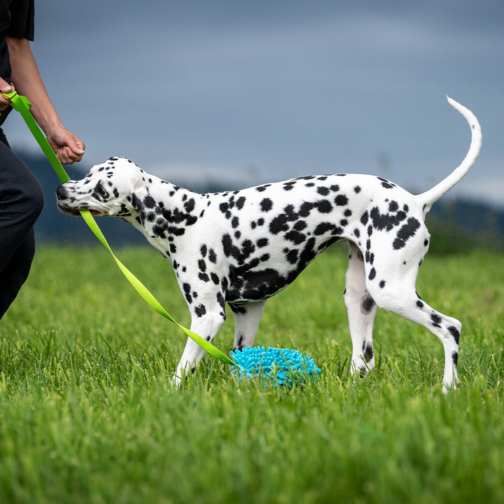 Spielzeug Mop Boudin Long