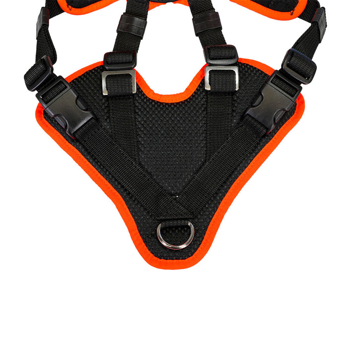 Mantrailing-Geschirr V Standard