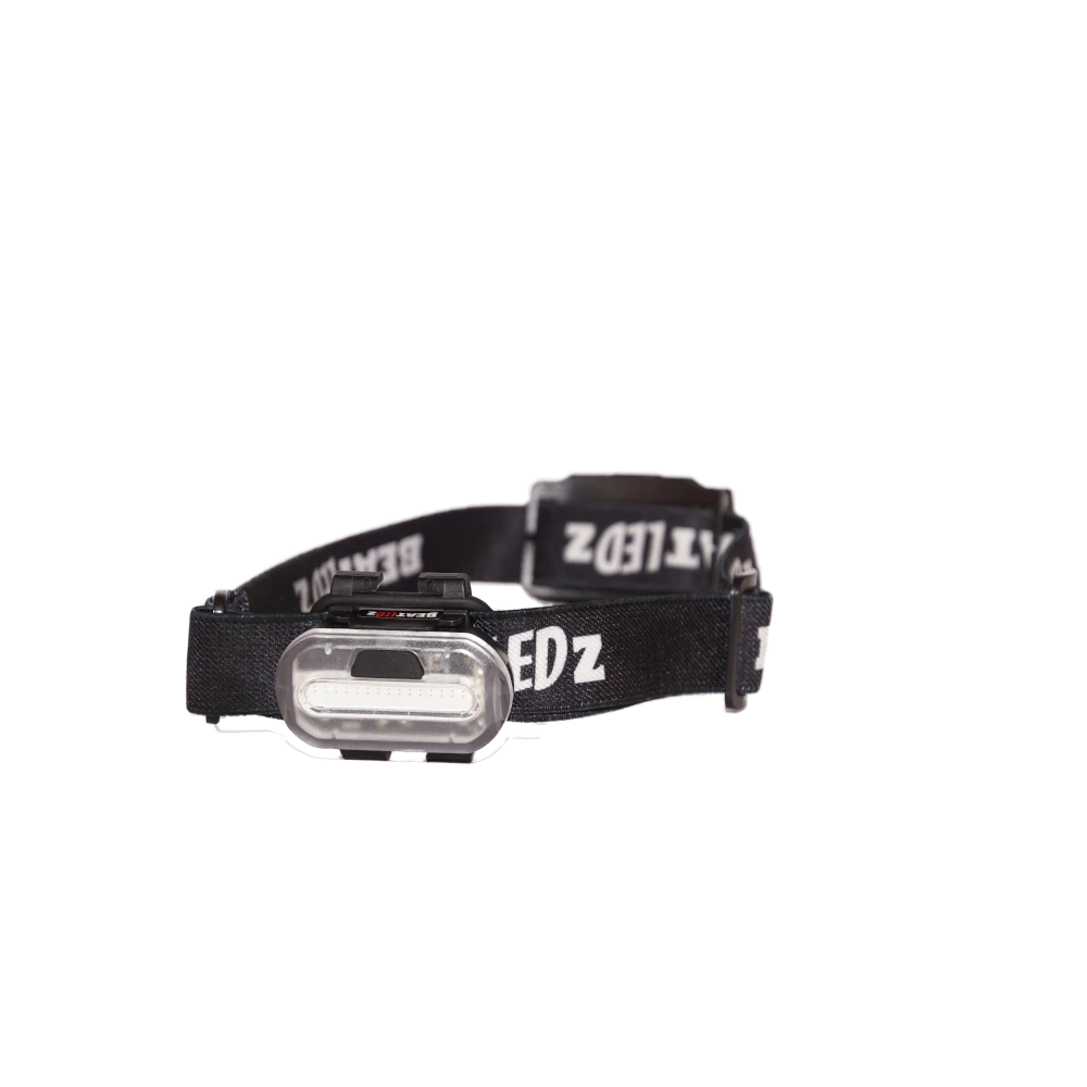 BeatLEDz SG2