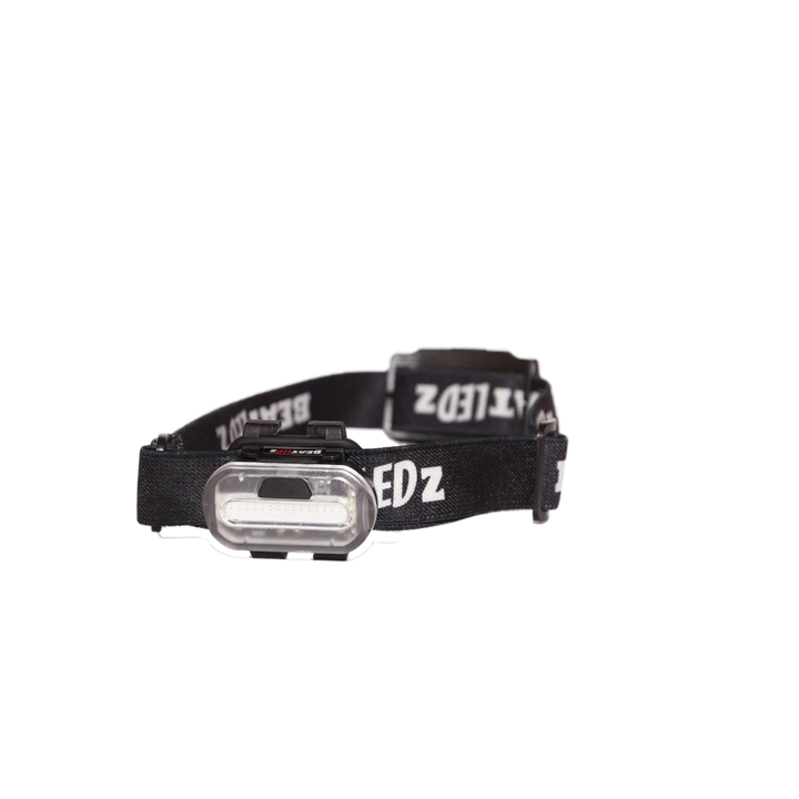 BeatLEDz SG2