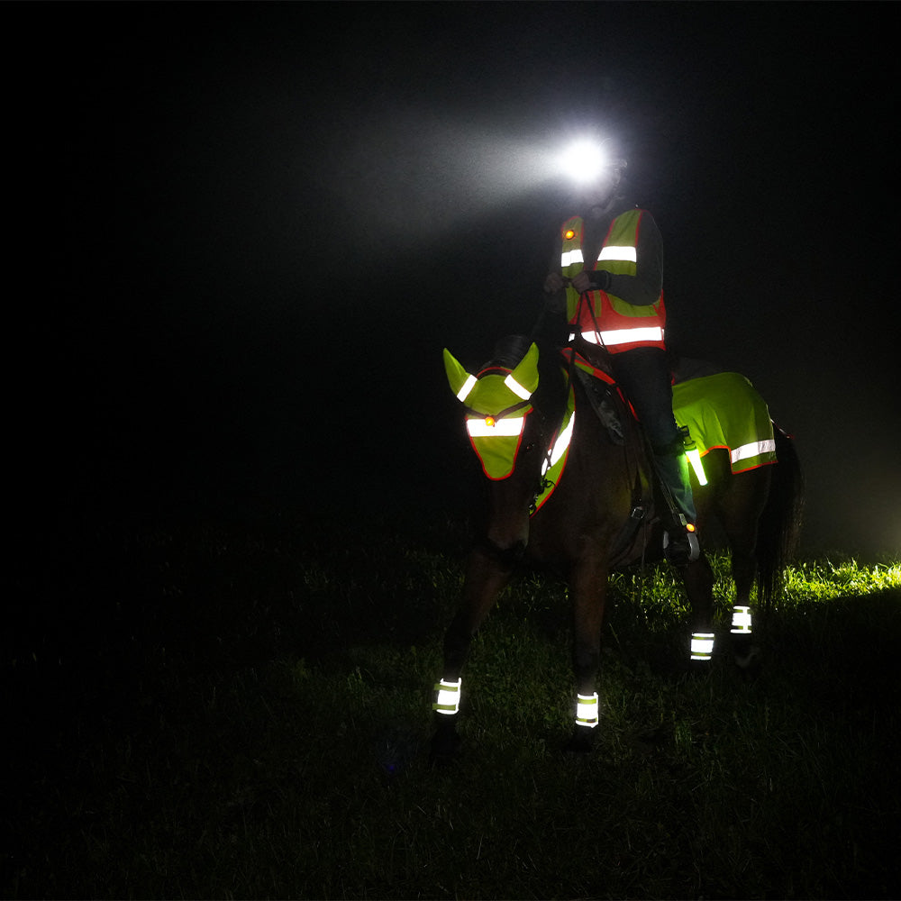 BeatLEDz Stirnlampe NG1+