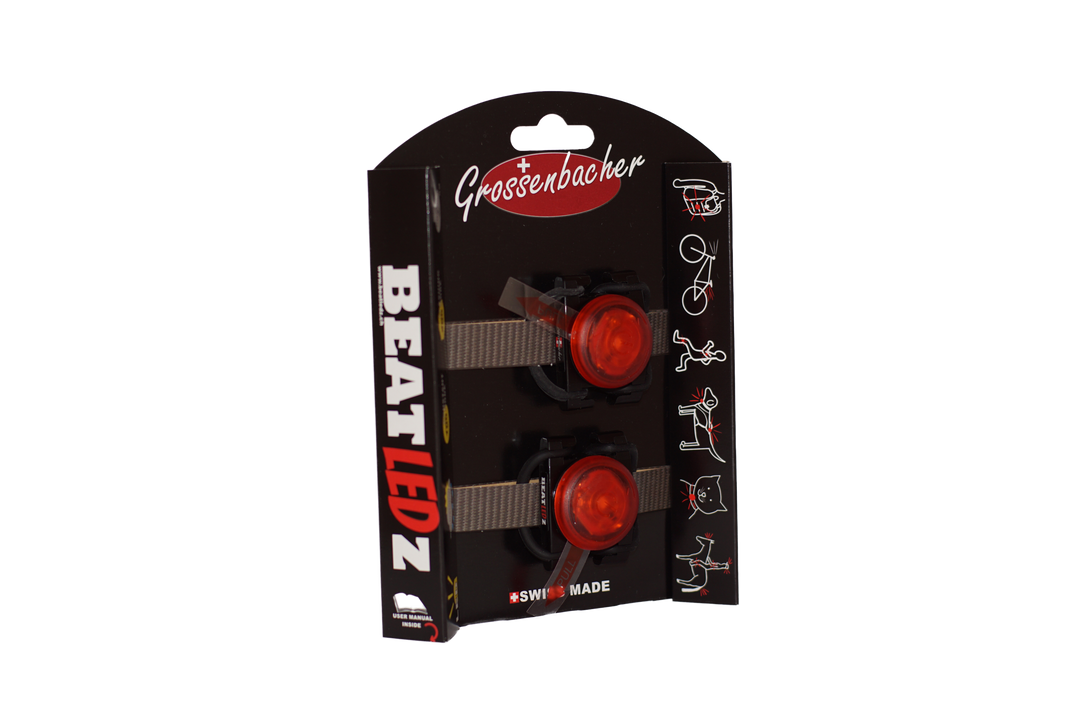 BeatLEDz SG1