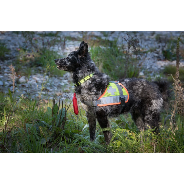 Chicco Sanitäts Bringsel