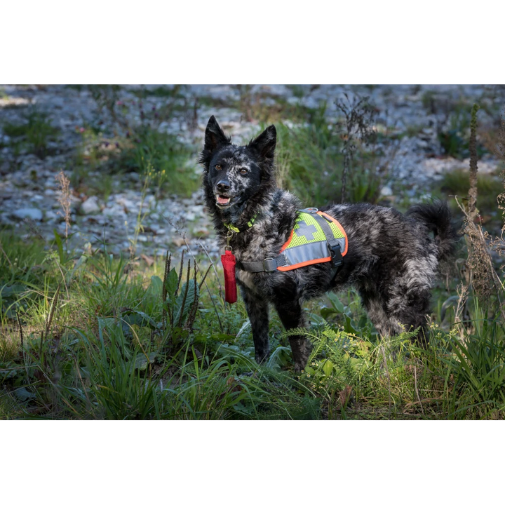 Chicco Sanitäts Bringsel