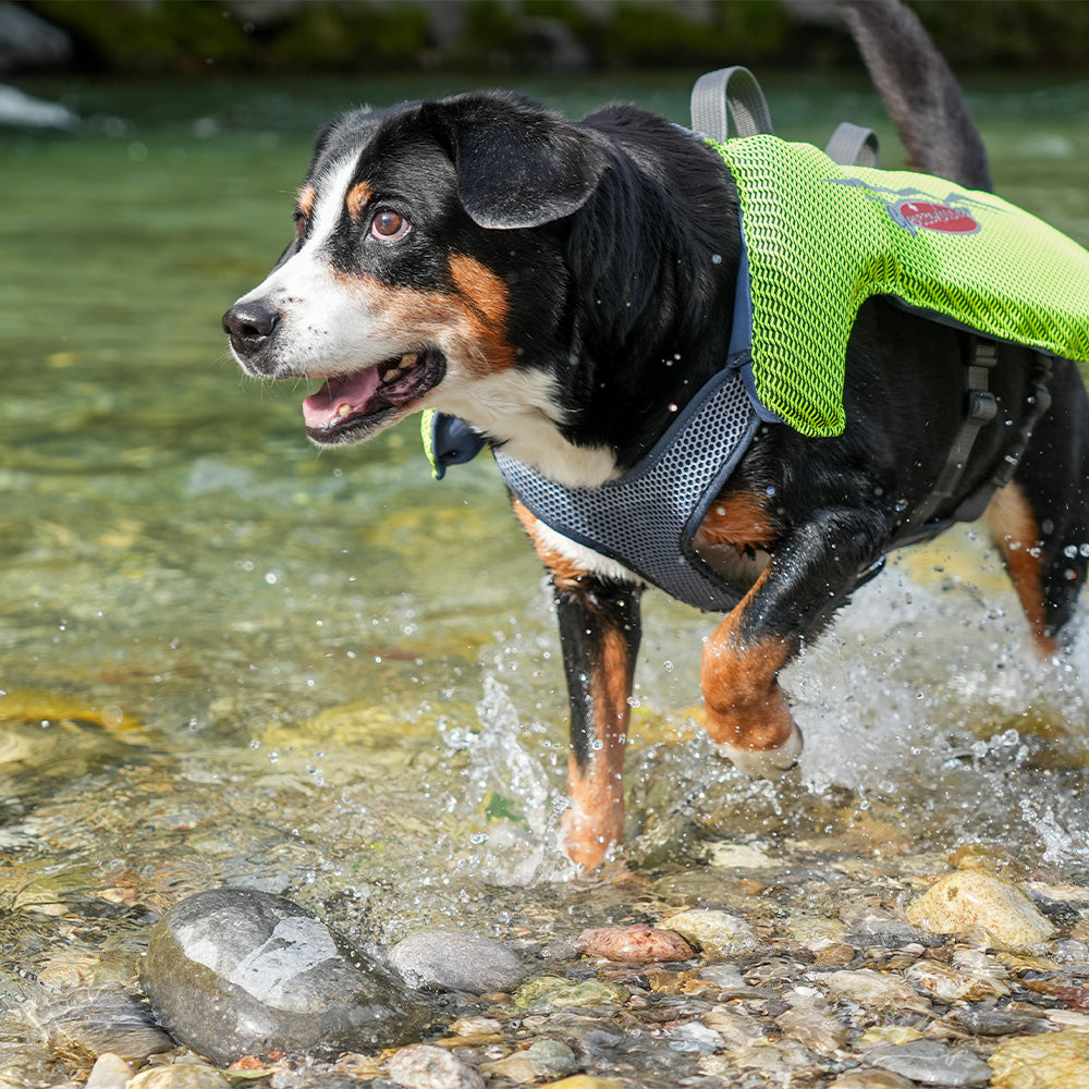 Schwimmweste