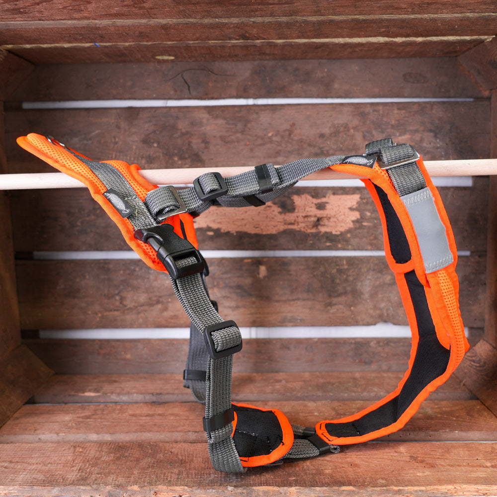 Hundegeschirr Vary Mantrailer, Farbe: leuchtorange-leuchtorange. Sonderposten, Outlet