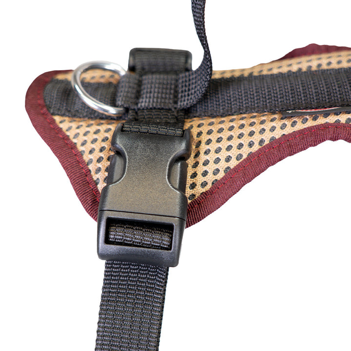 Hundegeschirr für Junghunde Vary Standard, frei einstellbar. beige-bordeaux, Detail Steckverschluss