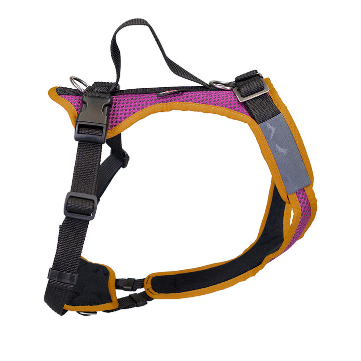 Hundegeschirr für Junghunde Vary Standard, frei einstellbar. violett-senfgelb