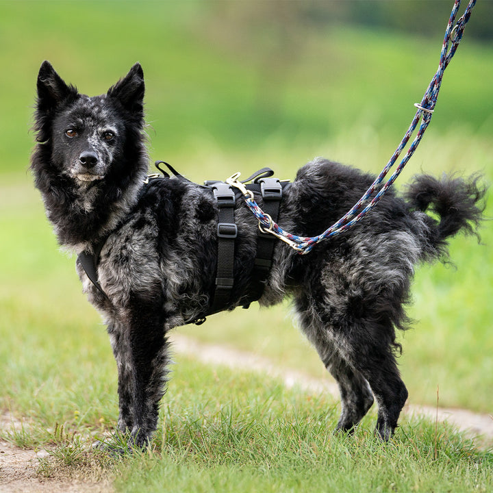 Hundegeschirr Vary Support