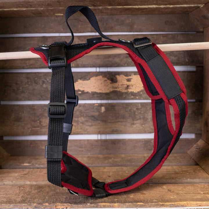 Hundegeschirr Vary Sonderfarben, schwarz-kirschrot, Outlet, Sale