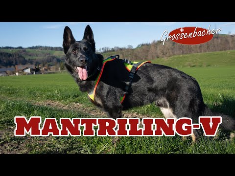 Mantrailing-Geschirr V mit Reflektor und LED