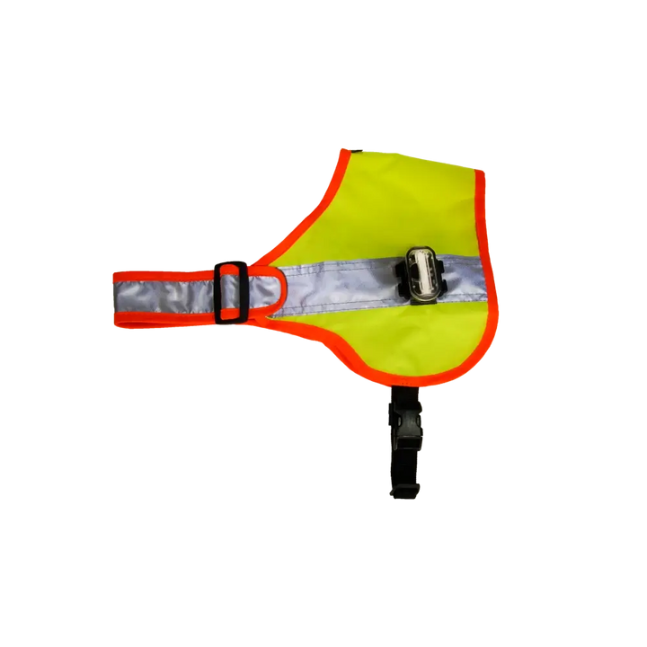 Hundeleuchtdecke Balou LED