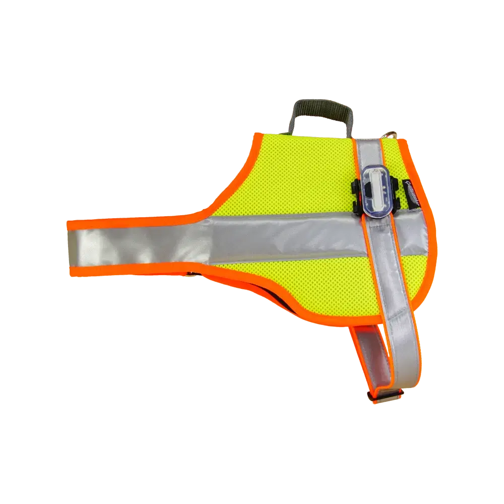 Hundeleuchtdecke Balou Profi mit LED