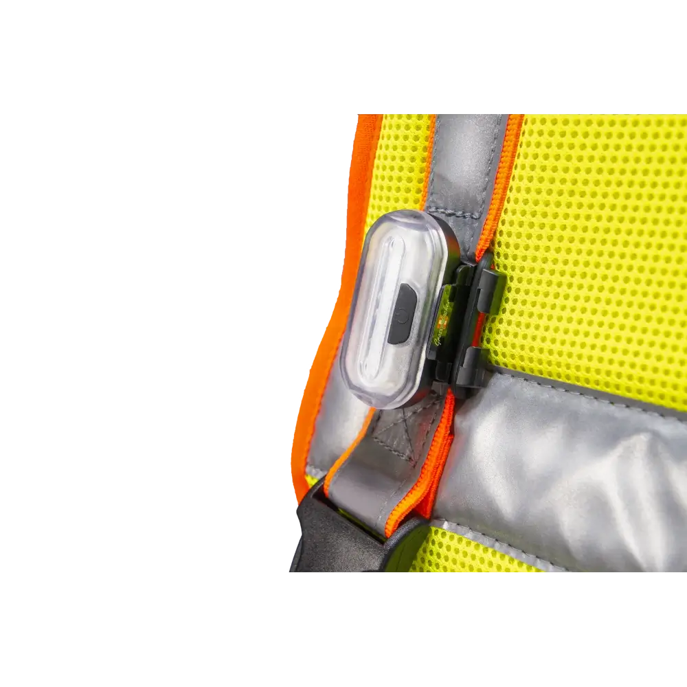 Hundeleuchtdecke Balou Profi mit LED