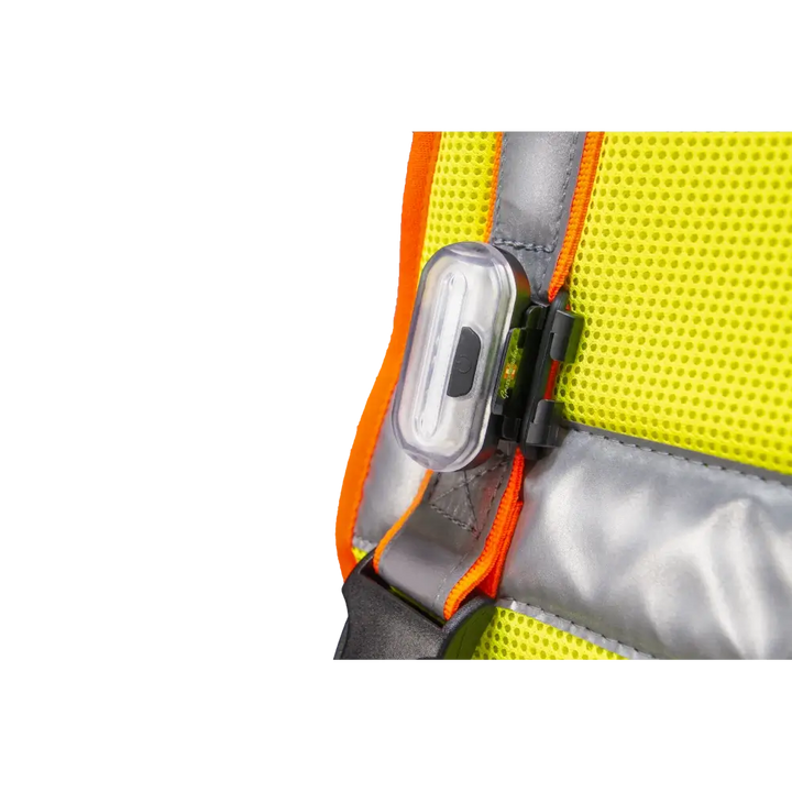 Hundeleuchtdecke Balou Profi mit LED
