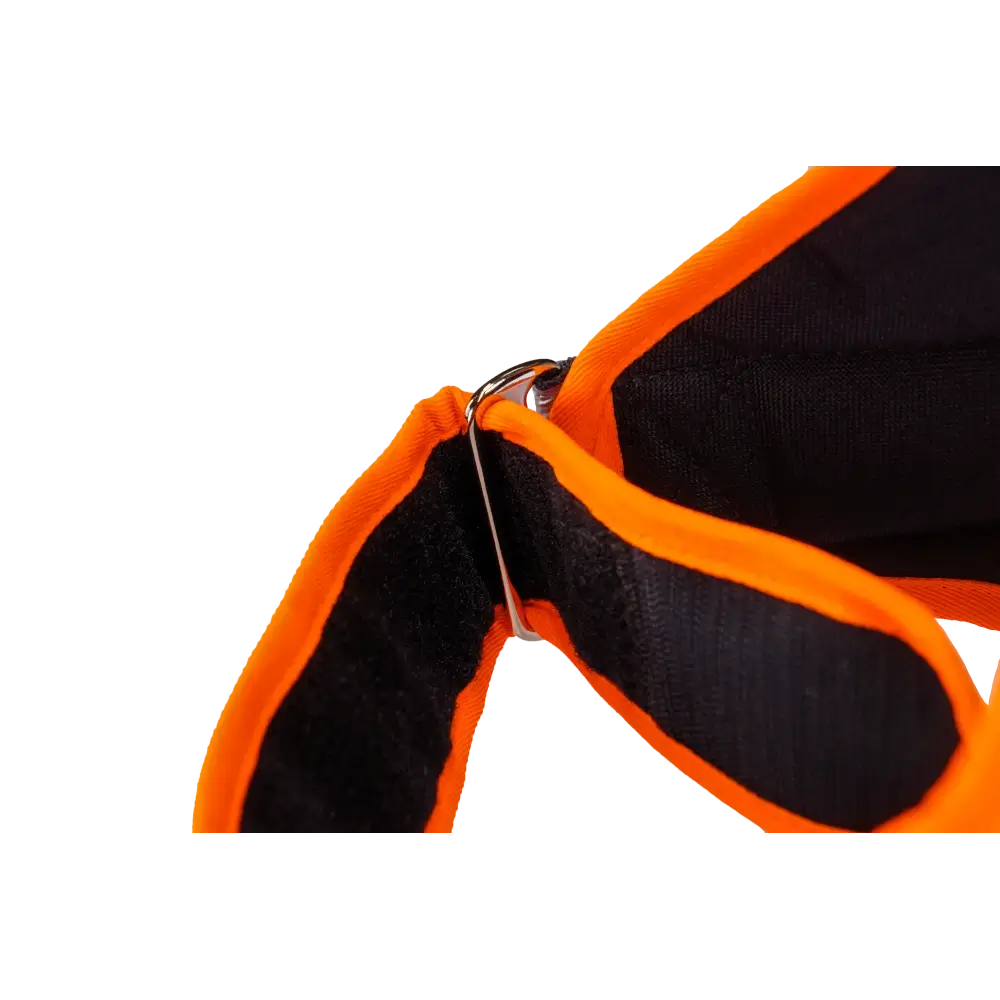 Hundeleuchtdecke Balou Profi mit LED