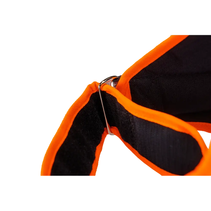Hundeleuchtdecke Balou Profi mit LED