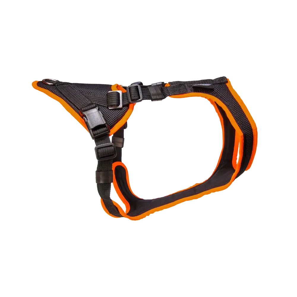 Mantrailing Harness V